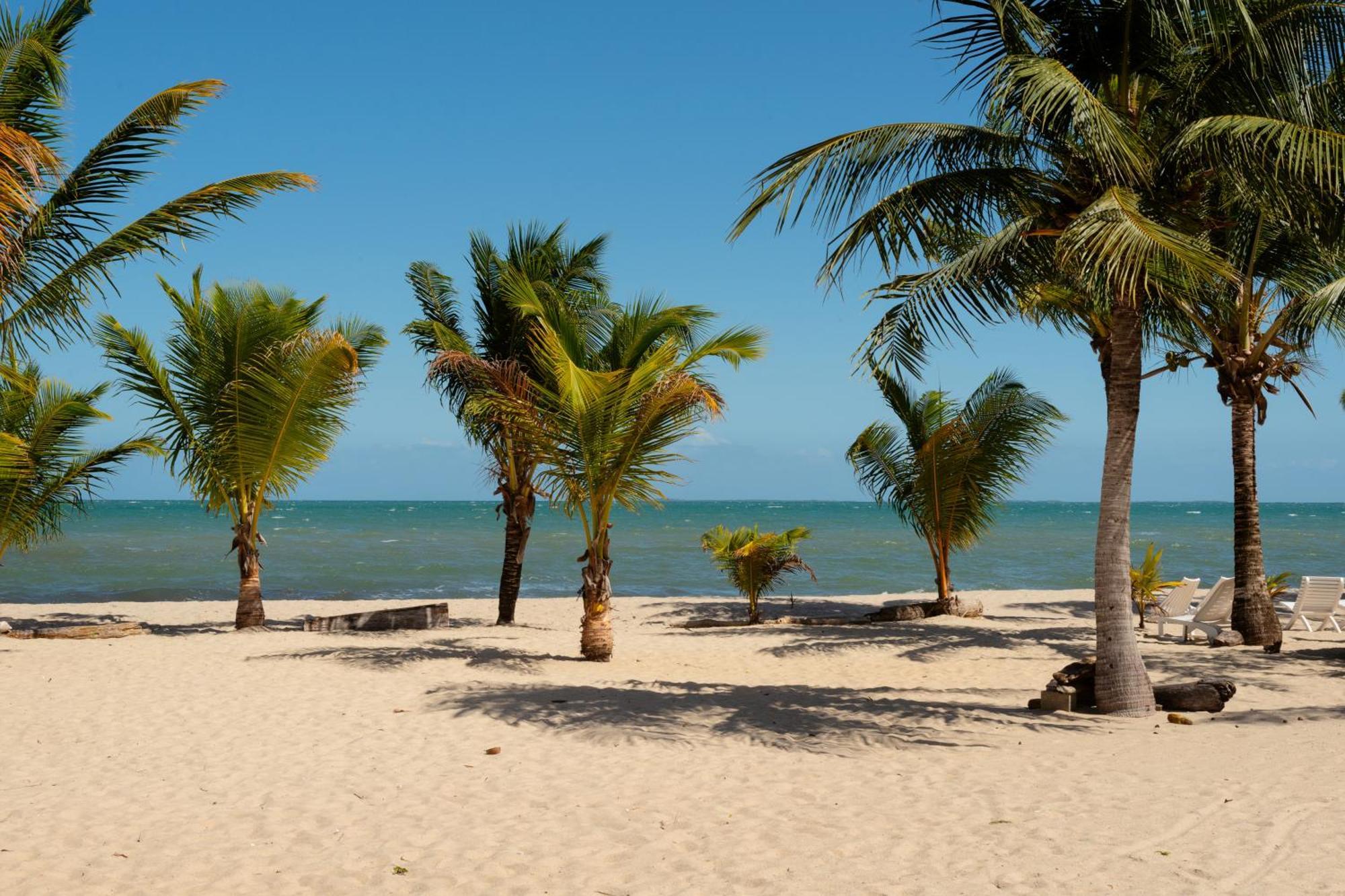 Sandy Feet Beach Resort Placencia Luaran gambar